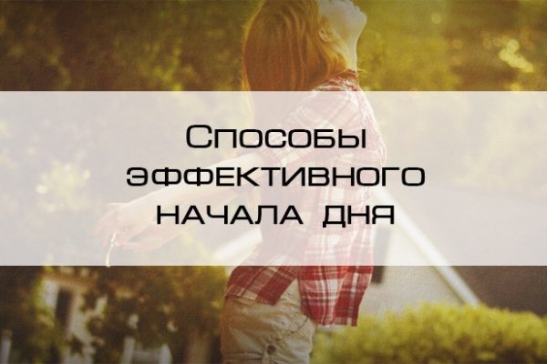 Кракен шеринг