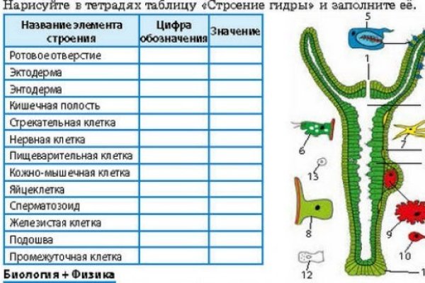 Кракен даркнет магазин