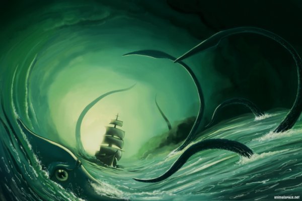 Kraken 24 top