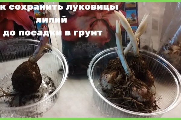 Что с кракеном сегодня сайт